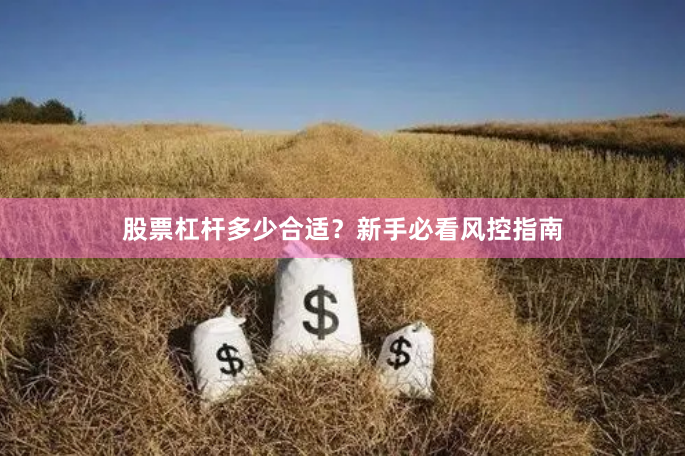 股票杠杆多少合适？新手必看风控指南